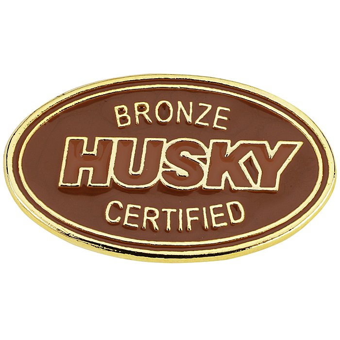 Custom Classic Die Cast Lapel Pin - Oval